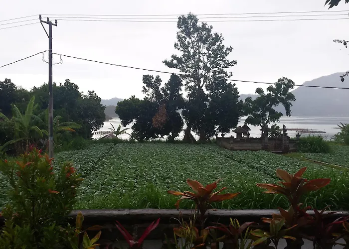 Reddoorz Near Danau Batur 2* Kintamani